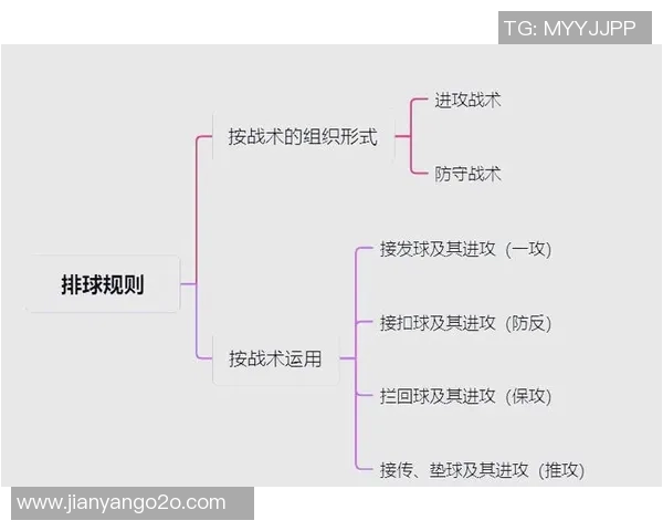上海排球队战术解析：从进攻到防守的全面剖析与实践应用